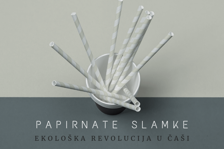 PAPIRNATE SLAMKE - EKOLOŠKA REVOLUCIJA U ČAŠI